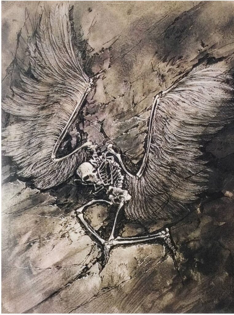 天使のたまごに出てくる鳥の化石